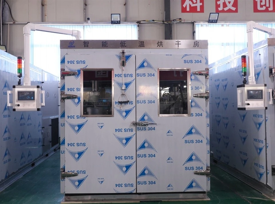 Vegetable Seed Dryer factory